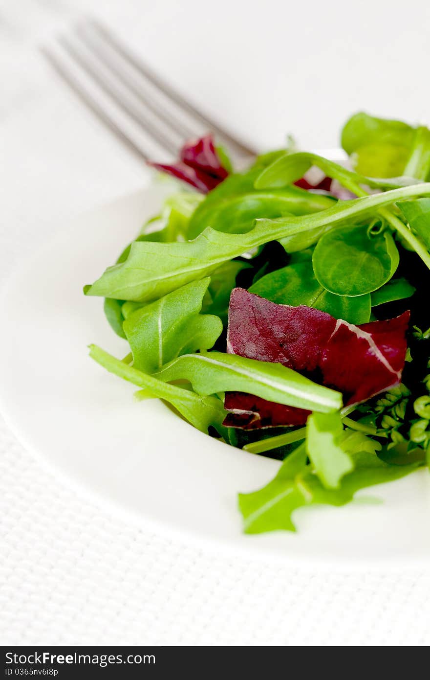 Fresh green salad on plate closeup. Fresh green salad on plate closeup