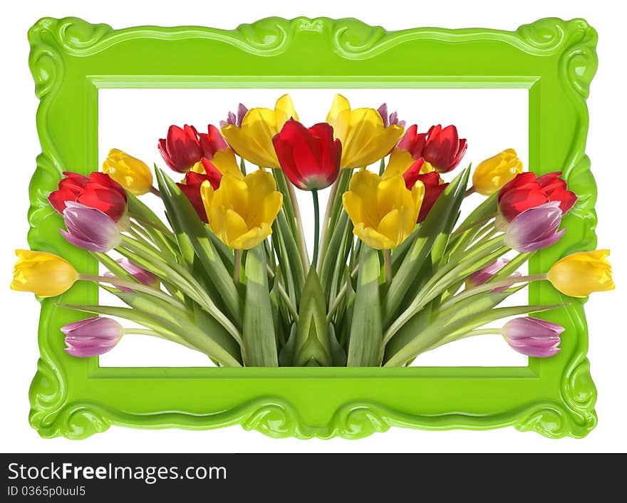 Fresh tulip bouquet in a pretty picture frame. Fresh tulip bouquet in a pretty picture frame.