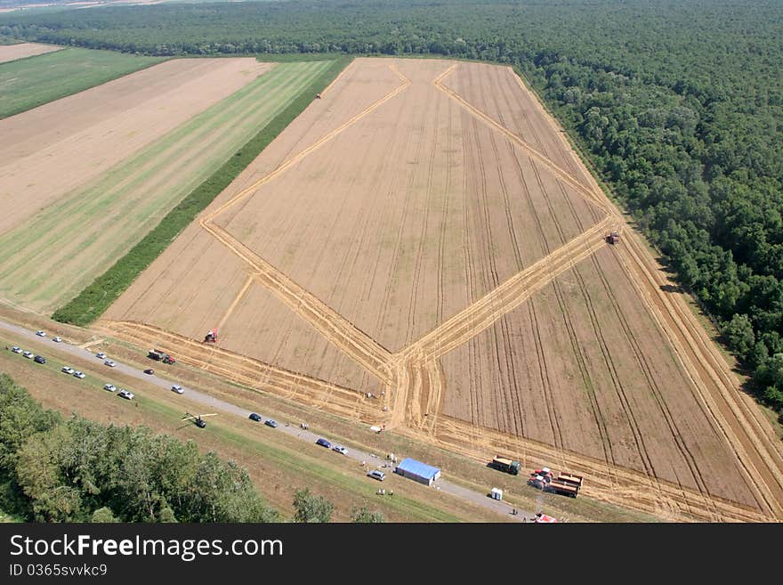 Golden Wheat Field