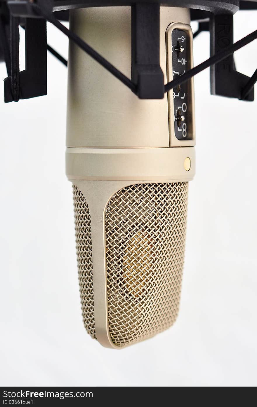 Professional Studio Microphone