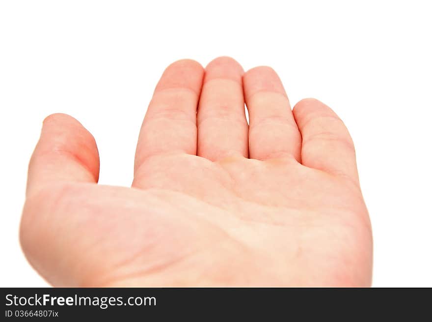 Big men Handbreadth on a white background