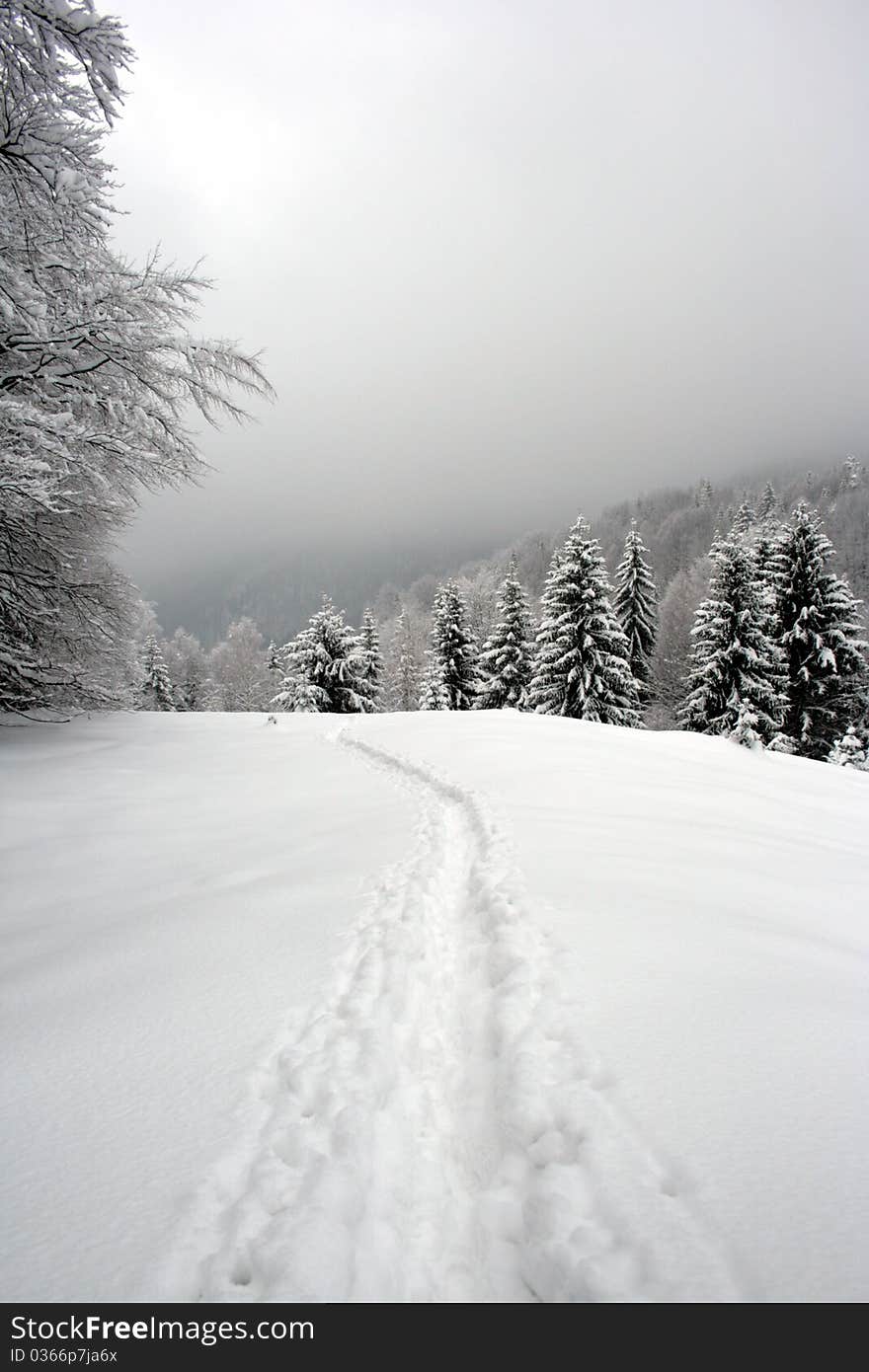 A photo of a road that does not lead anywhere. A photo of a road that does not lead anywhere