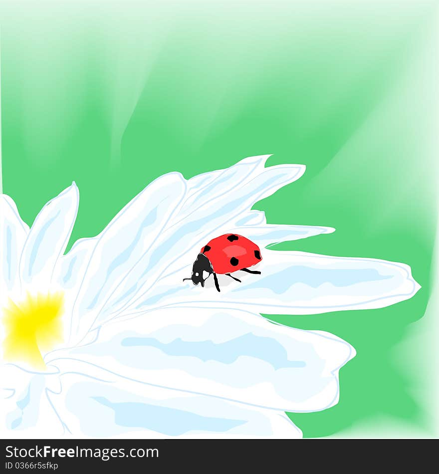 Watercolor illustration depicting a ladybug on daisy, vector illustration, eps10