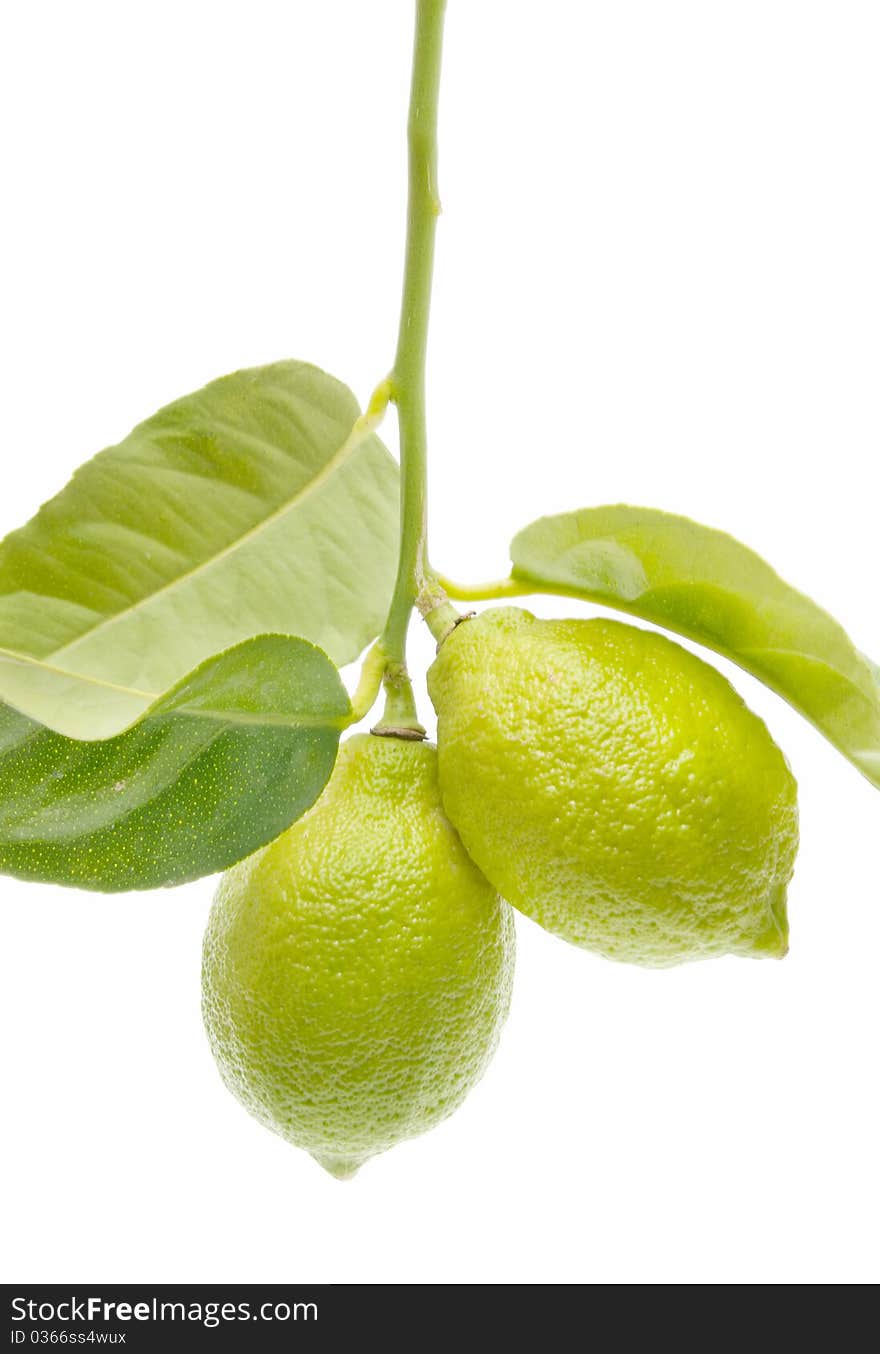 Ecological lemons isolated on white background