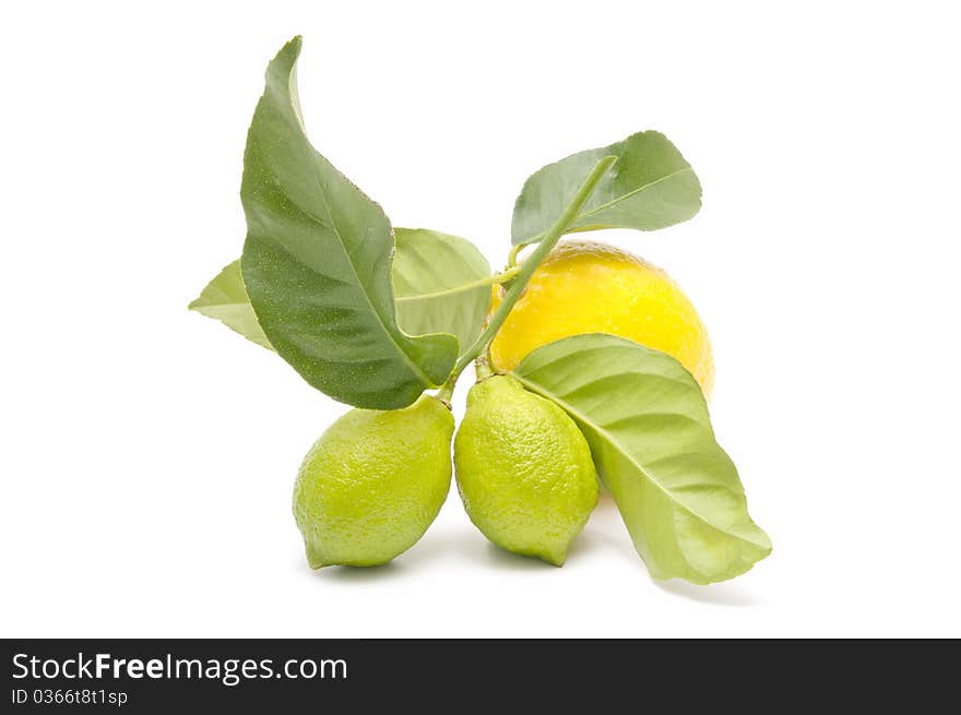 Ecological lemons isolated on white background. Ecological lemons isolated on white background