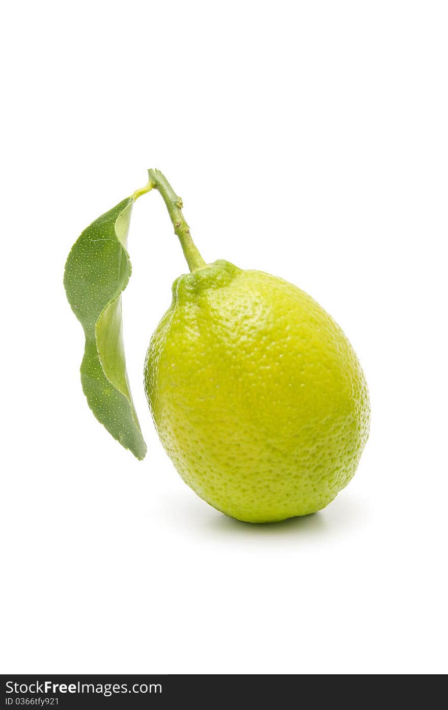 Ecological lemons isolated on white background