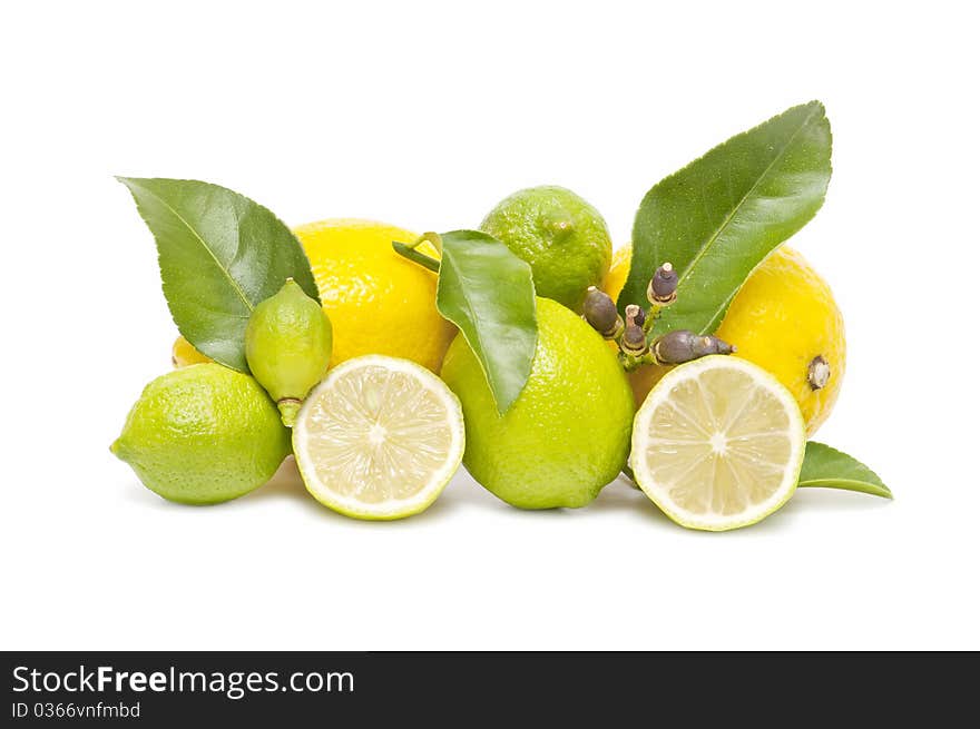 Ecological lemons isolated on white background. Ecological lemons isolated on white background