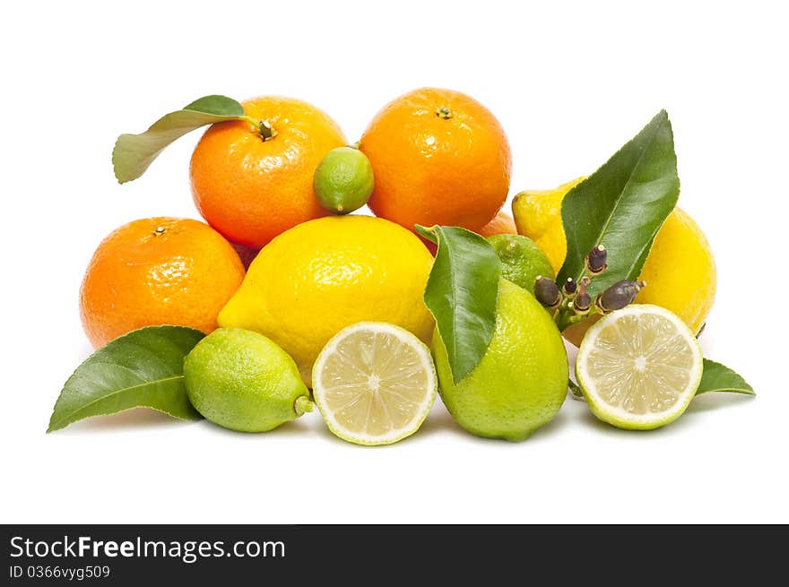 Ecological Citrus