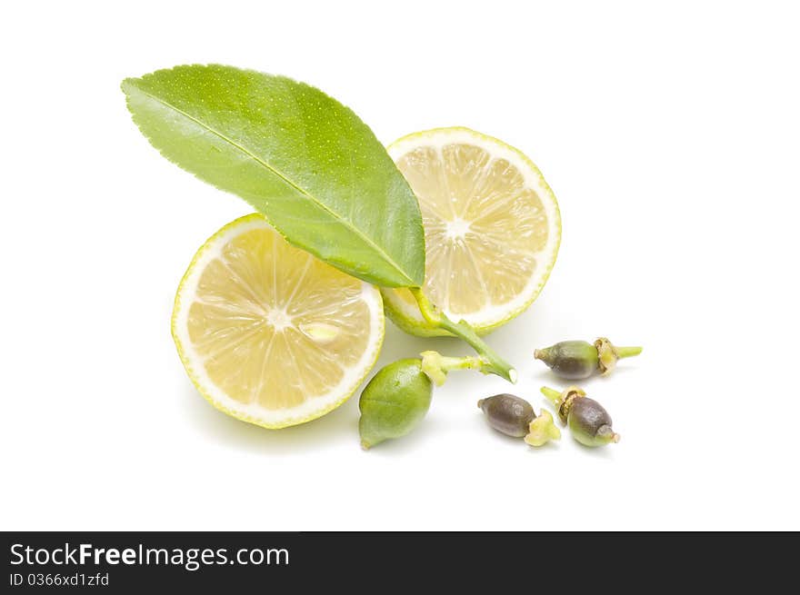 Ecological lemons isolated on white background. Ecological lemons isolated on white background