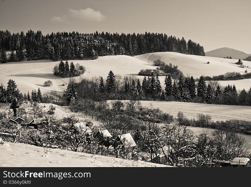 Forest and small cottages covered with fresh snow on the fields and meadows near the Brezovec neighbourhood, Dolny Kubin city. Forest and small cottages covered with fresh snow on the fields and meadows near the Brezovec neighbourhood, Dolny Kubin city.