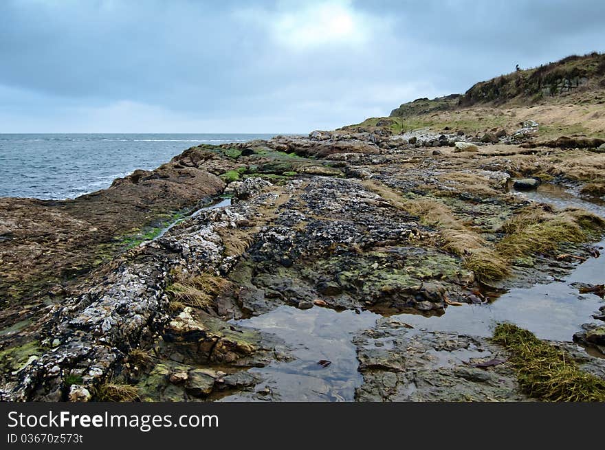 Coastal rock pool on an overcast day