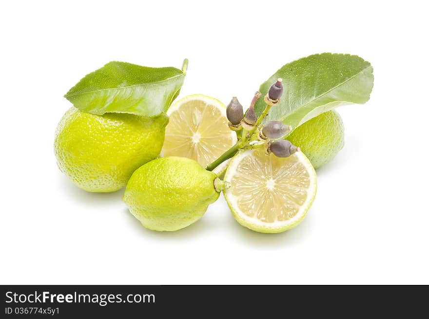 Ecological lemons