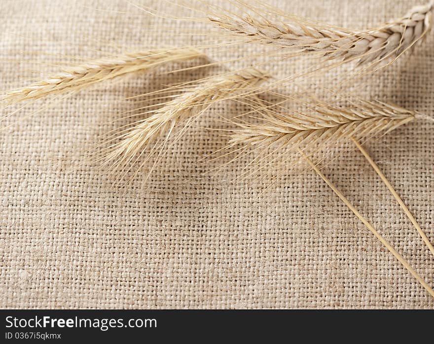 Wheat ears border on burlap background, with copy-space