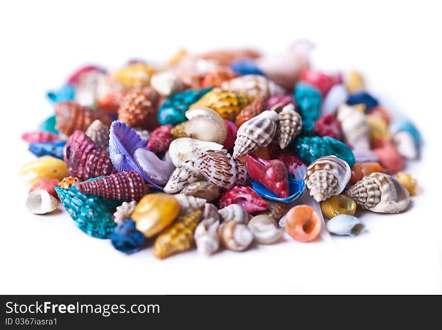 Pile Of Colorful Seashells