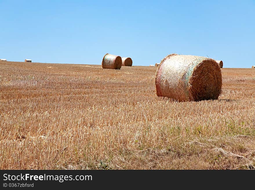 Straw stack in field