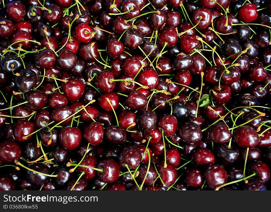 Many dark red sweet cherry