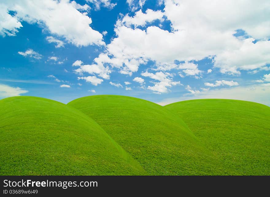 Green field under the blue sky