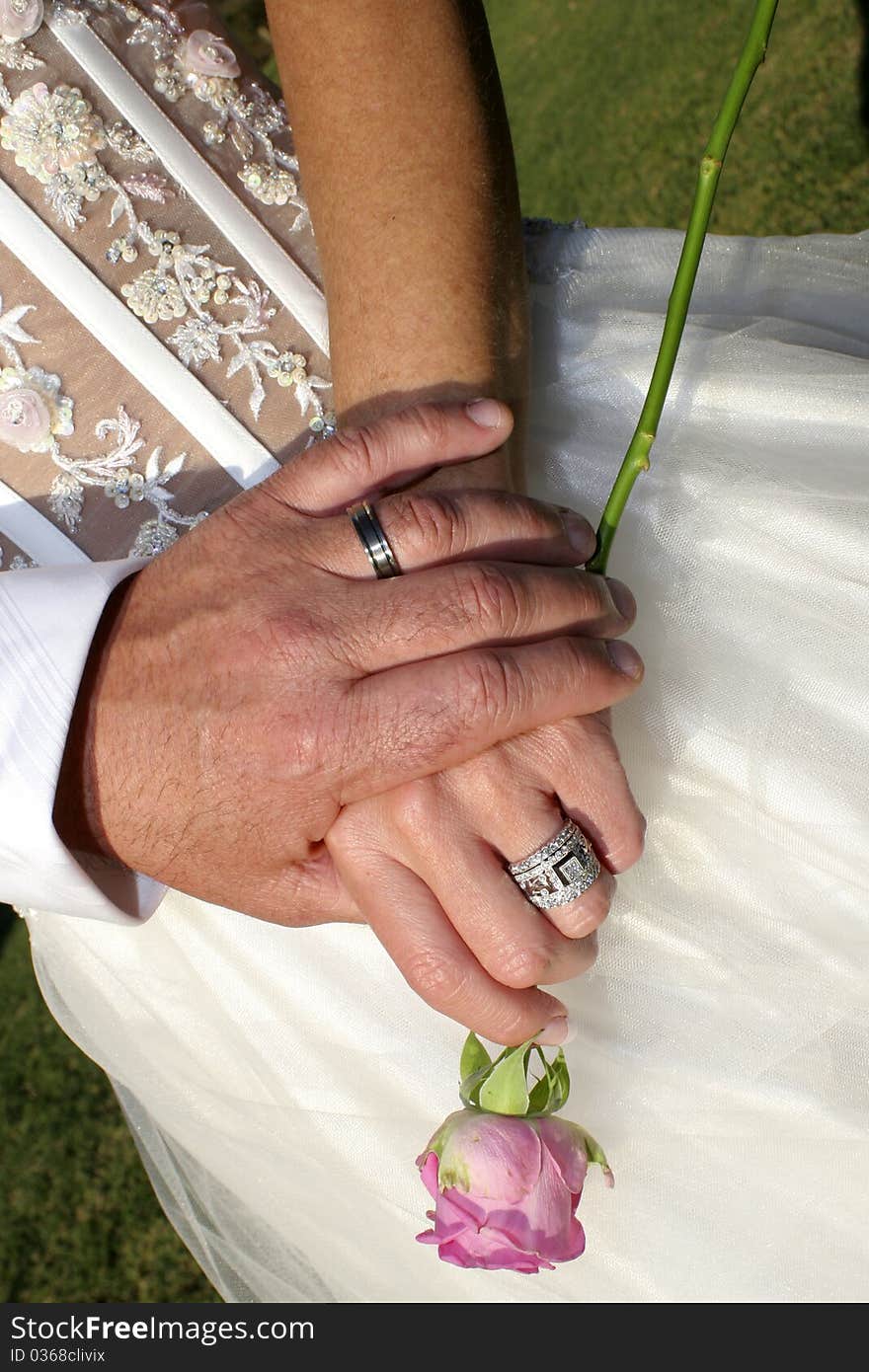 Loving couple holding hands with rings and a single pink rose against wedding dress. Loving couple holding hands with rings and a single pink rose against wedding dress