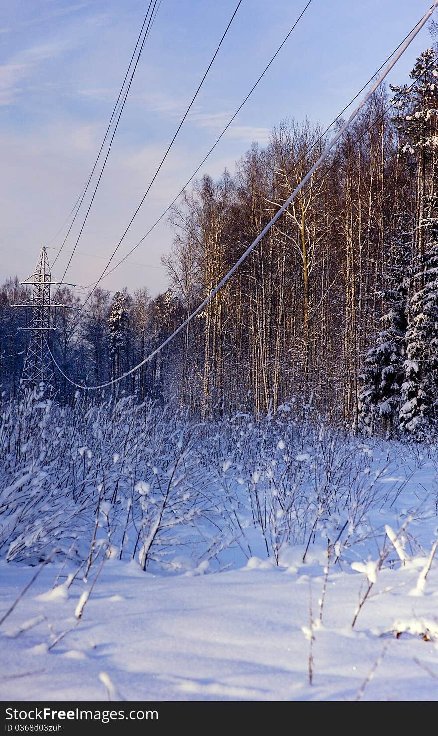 Winter landscape with electric power line