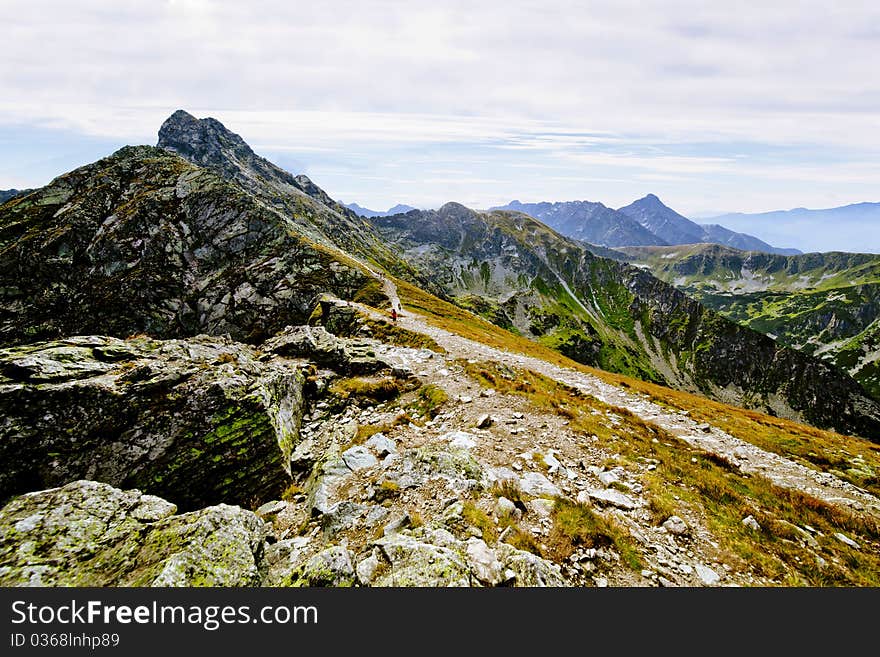 Summer mountain landscape in the Polish Tatry