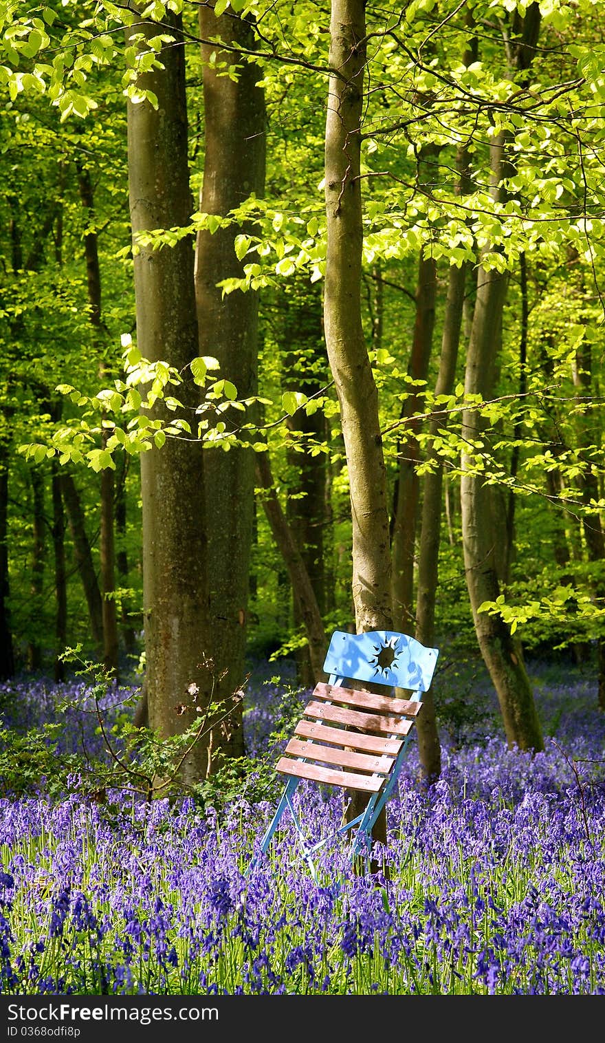 Blue chair found in the forest betwween green trees and blue flowers. Blue chair found in the forest betwween green trees and blue flowers