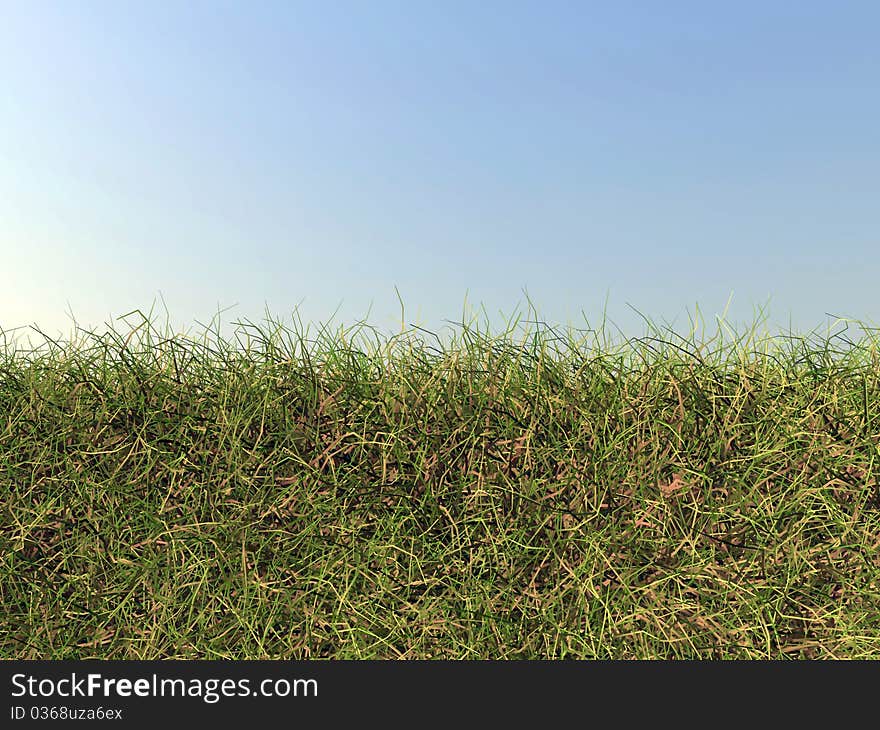 Dry grass and sky modelled in 3d. Dry grass and sky modelled in 3d