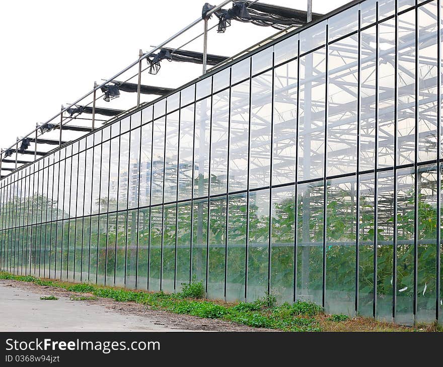 Exterior of a glass greenhouse,China. Exterior of a glass greenhouse,China.