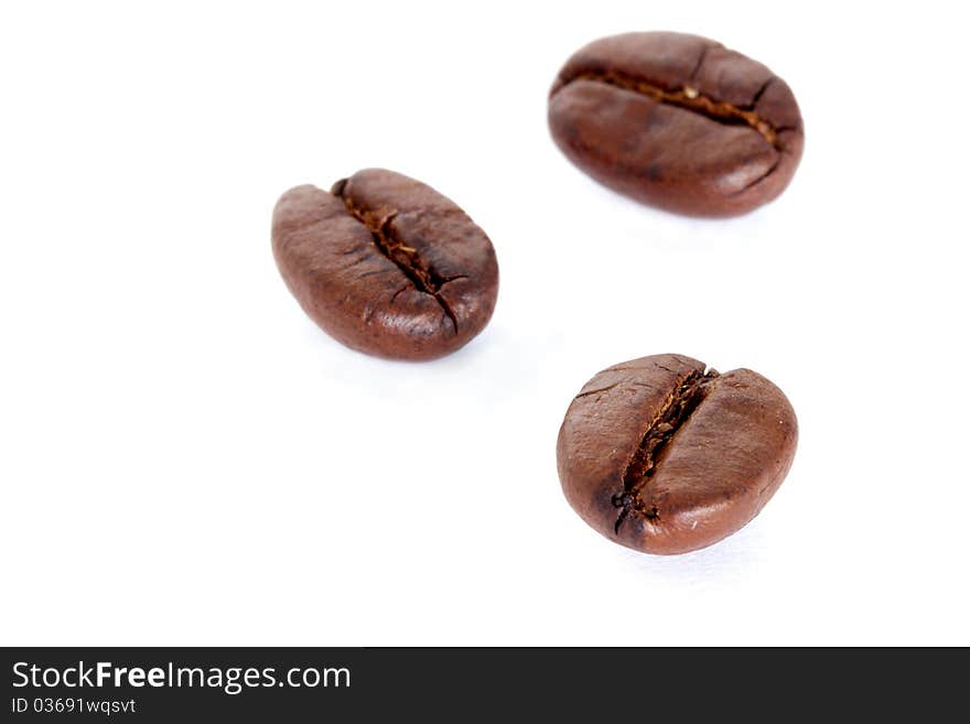 Three coffee beans isolated on white background