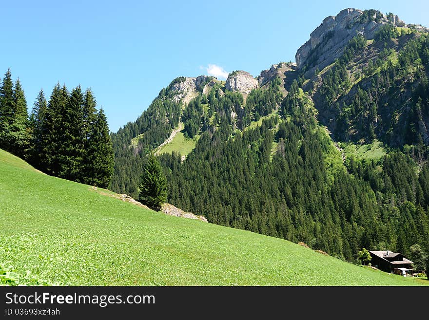 Swiss landscape