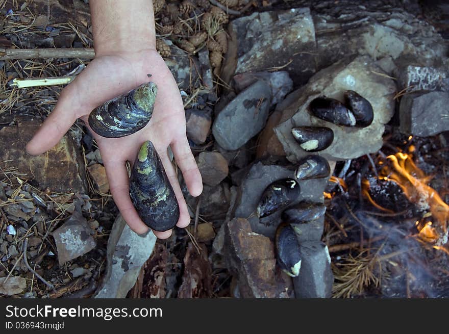 Cooking mussels over an open fire