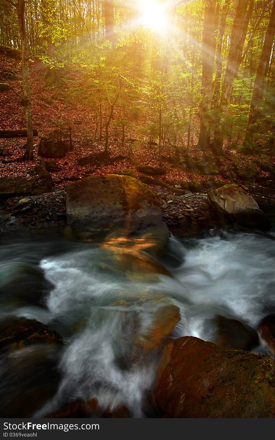 Mountain stream in the forest  during sunrise. Mountain stream in the forest  during sunrise