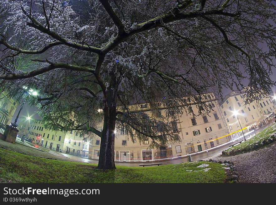 Architectural Detail of Lucca at Night