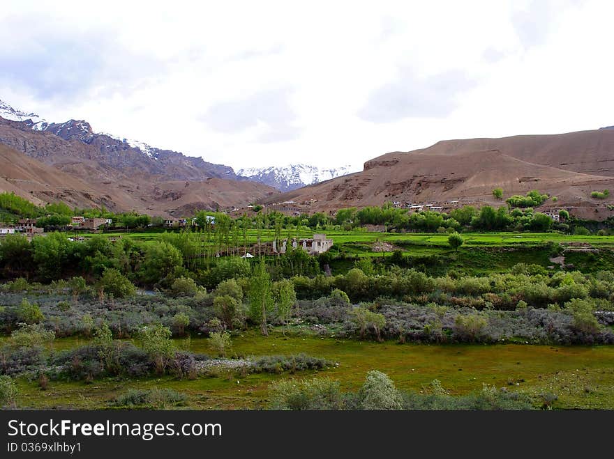 Ladakh landscape