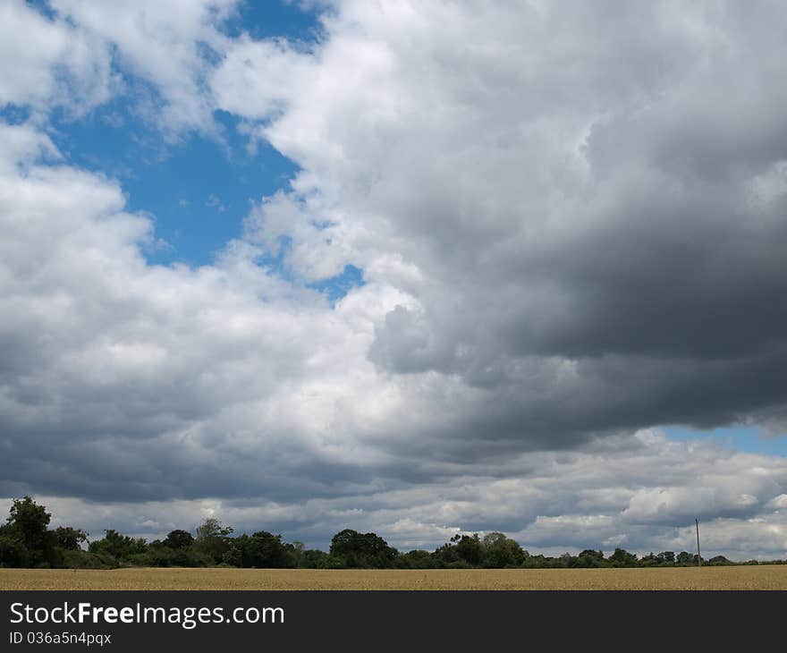 Wheat Field And Clouds