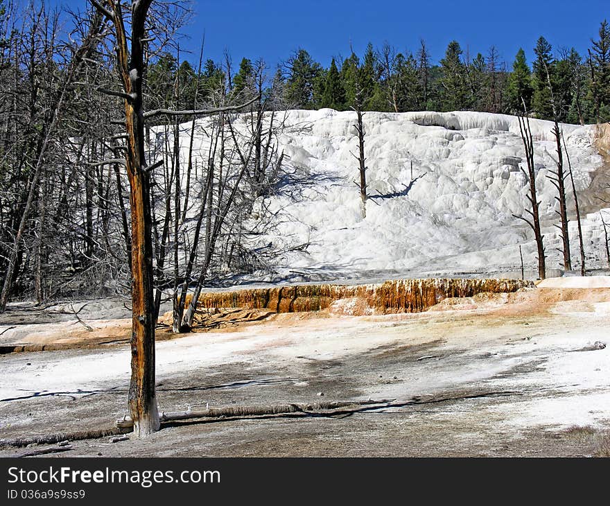 Orange Spring Mound in the Yellowstone National Park. Orange Spring Mound in the Yellowstone National Park