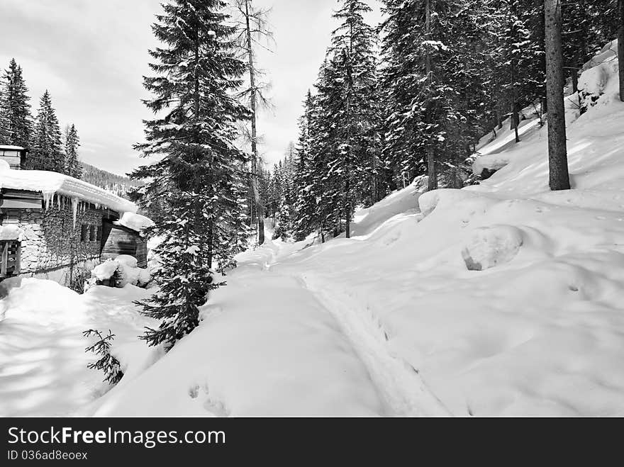 Snow On The Dolomites Mountains, Italy