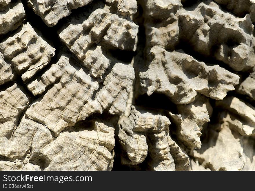 An old weathered cross section of a tree trunk showing the cracks where the wood has dried out as well as the rings of age. An old weathered cross section of a tree trunk showing the cracks where the wood has dried out as well as the rings of age.