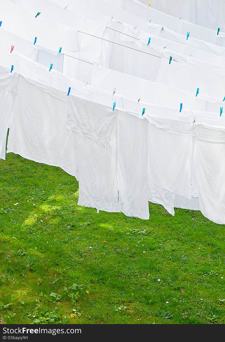 White Washes on the line with grass