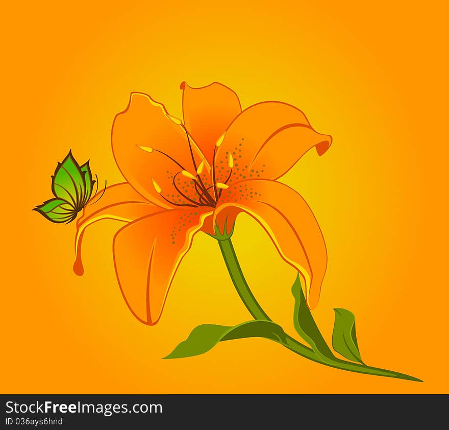 Beautiful Lily design element.beautiful illustration for a design