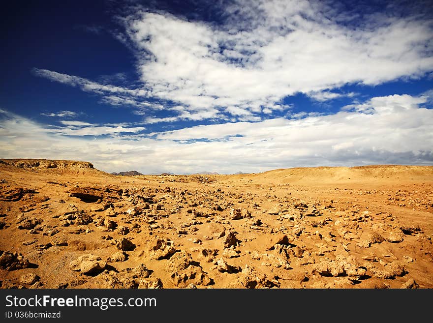 Desert landscape