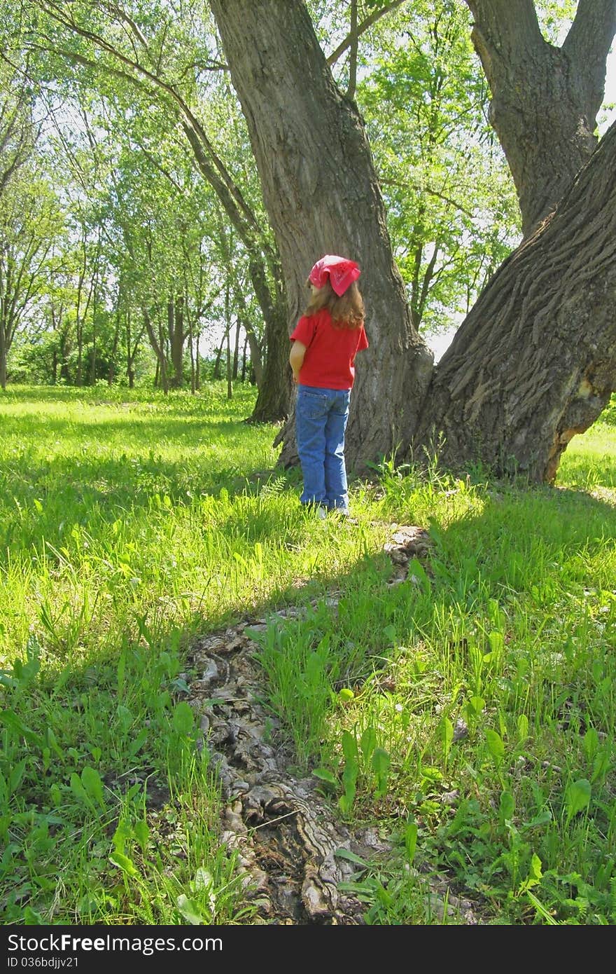 Girl standing by the big tree in the woods. Girl standing by the big tree in the woods