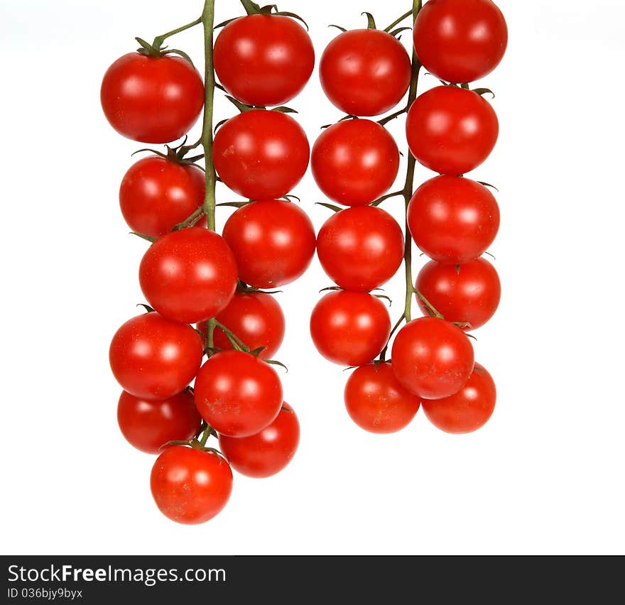 Cherry tomato --is a smaller garden variety of tomato, on a white background