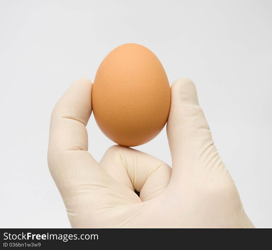 Human hand holding egg against a white background