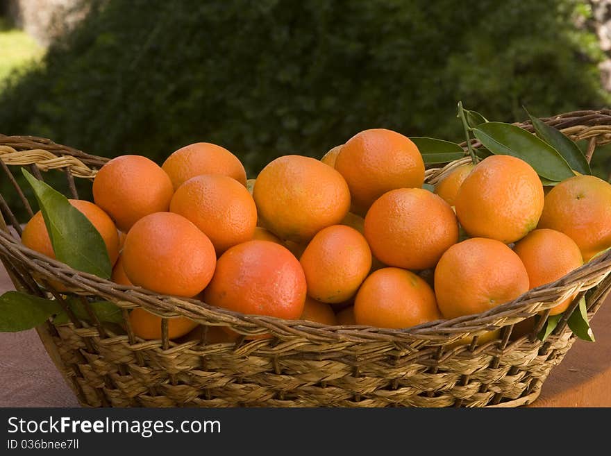 Basket containing fresh and delicious tangerines