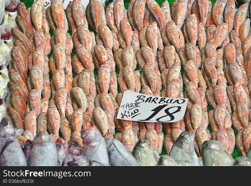 Photo of fresh fish at the Fish Market