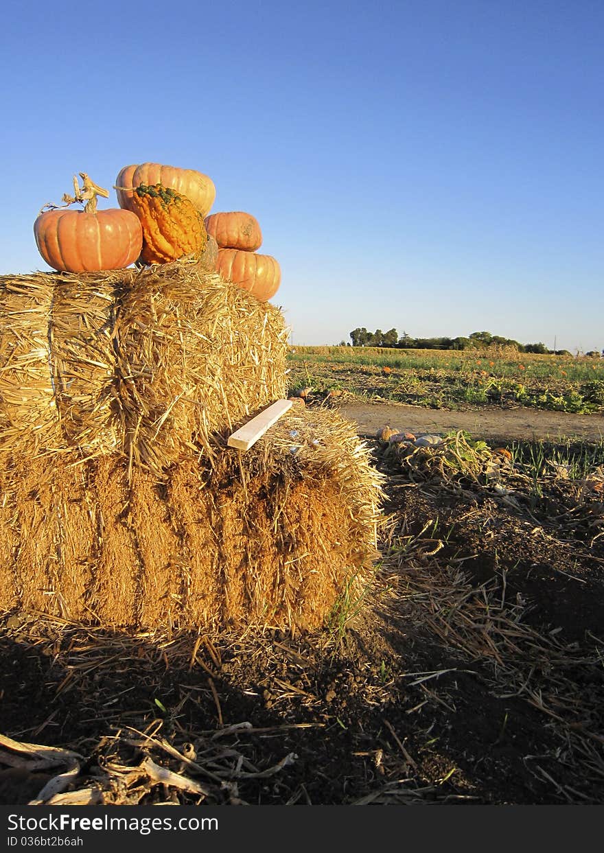 Pumpkins On A Bale Of Hay