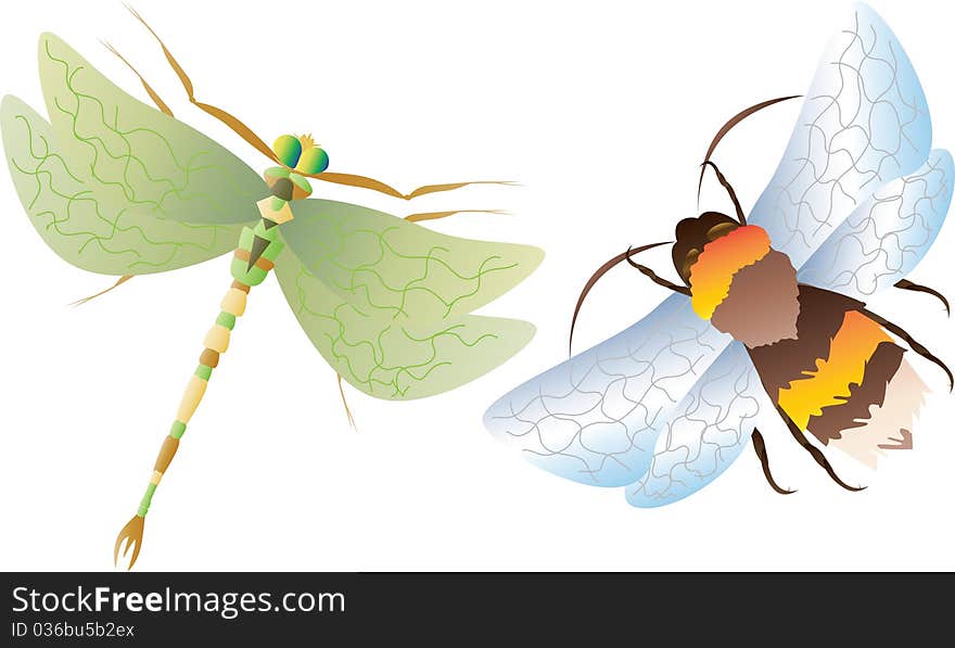 Representatives of a variety of flying insects. Dragonfly and Bumblebee.Vector illustration.