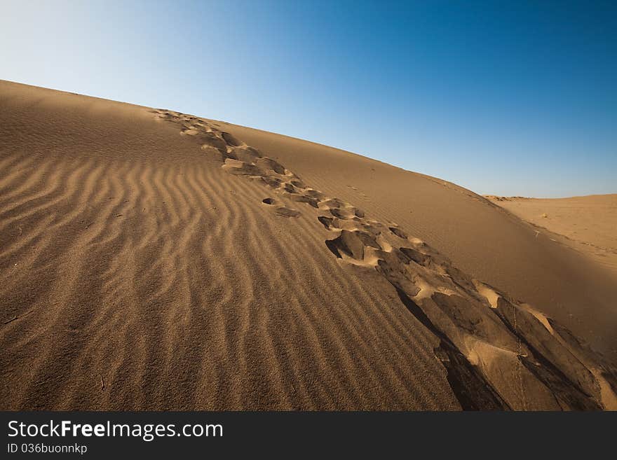 Dune on the desert.