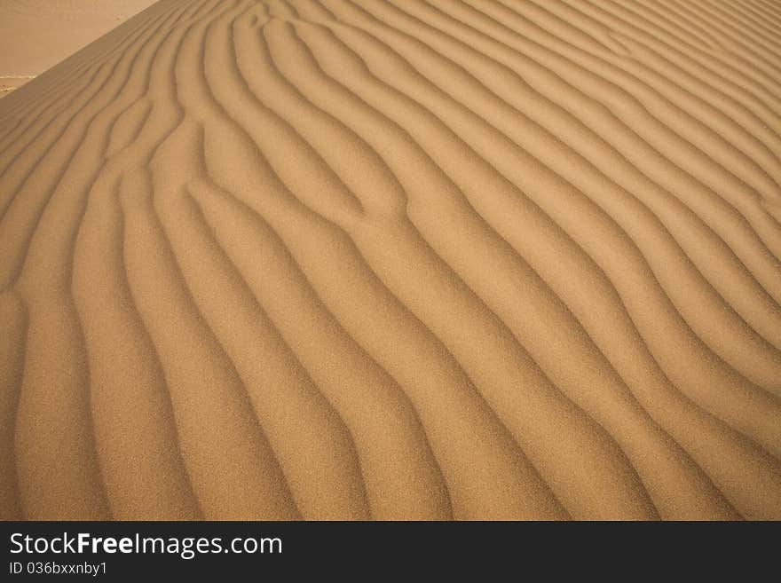 Dune on the dry desert. Dune on the dry desert.