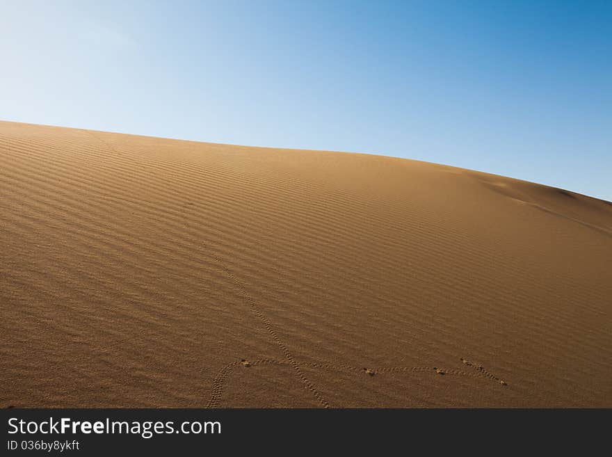 Dune on the dry desert. Dune on the dry desert.